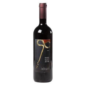 Group-221-e1605045631637